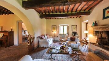 Smart-TV, Kamin, Bücher, Musikbibliothek