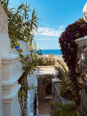 Property grounds - Sumptuous mediterranean villa in Cannes (Cannes)