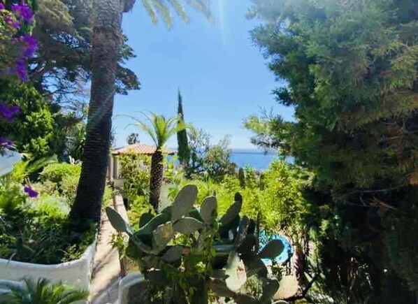 A garden with cacti, palm trees, and a view of the sea. - Sumptuous mediterranean villa in Cannes (Cannes)