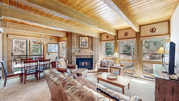 Televisión, chimenea y reproductor de DVD