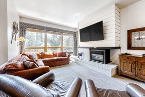 TV, fireplace, DVD player, books