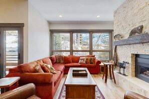 TV, fireplace, DVD player, books