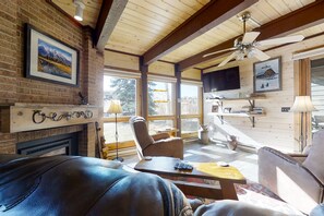 TV, fireplace, DVD player