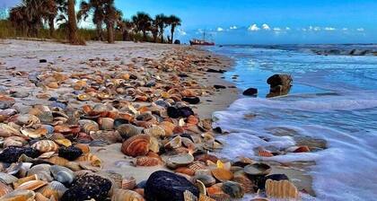 Gulf View/ Private Pool Cape San Blas Florida Spacious Home on first tier!