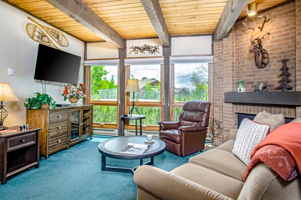 TV, fireplace, DVD player