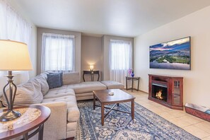 スマートテレビ、暖炉、Netflix、DVD プレーヤー