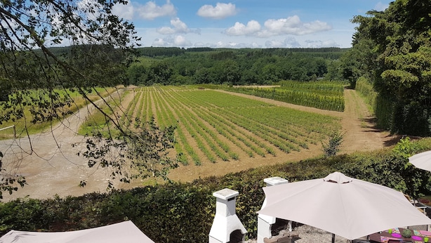 Ferienhaus | Blick von der Unterkunft