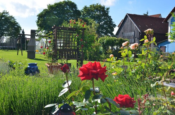 Apartment | Garden