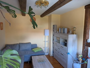 Una sala de estar con un sofá, una mesa de centro, una estantería y una planta decorativa.