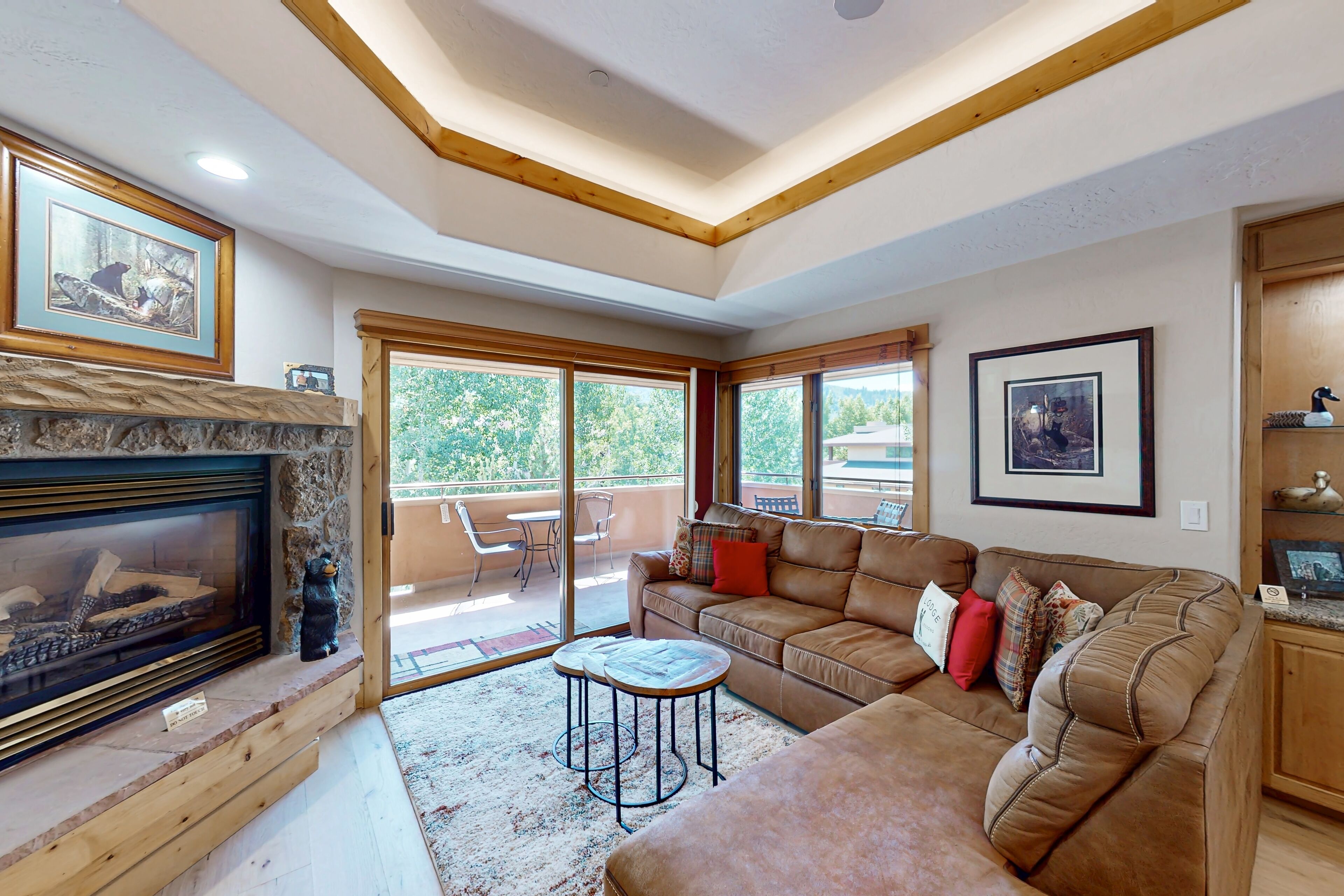 TV, fireplace, DVD player