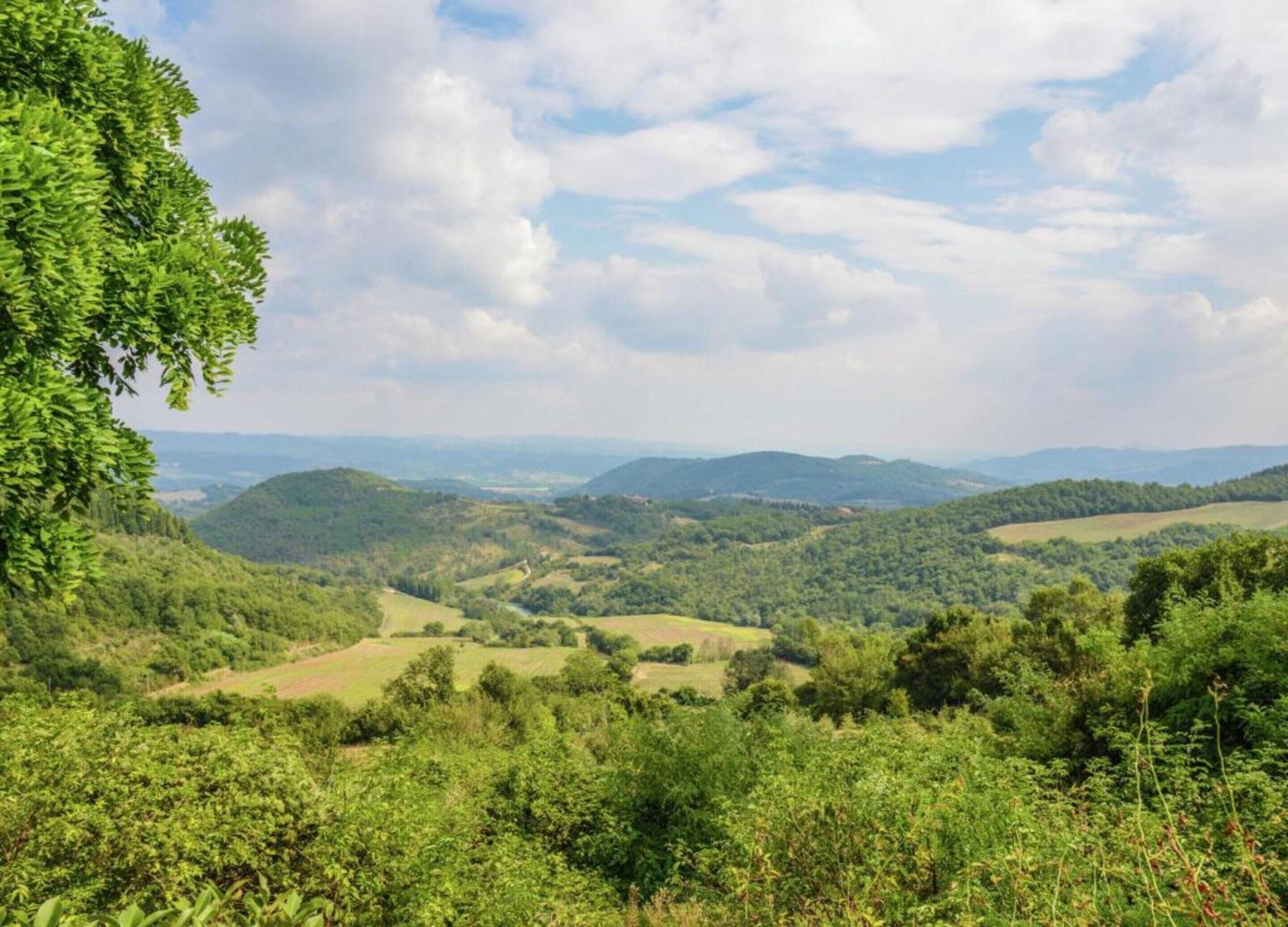 A panoramic view of a lush, green valley with rolling hills and a clear sky.