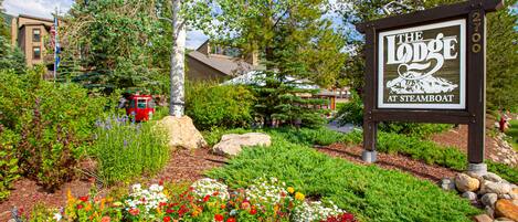 Àrea exterior de l'allotjament