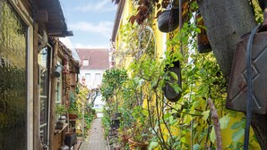 A narrow alleyway with potted plants and a yellow building on one side. - Charmante Ferienwohnung in Wismar mit Garten (Wismar)