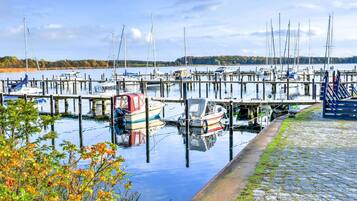 House | View from property