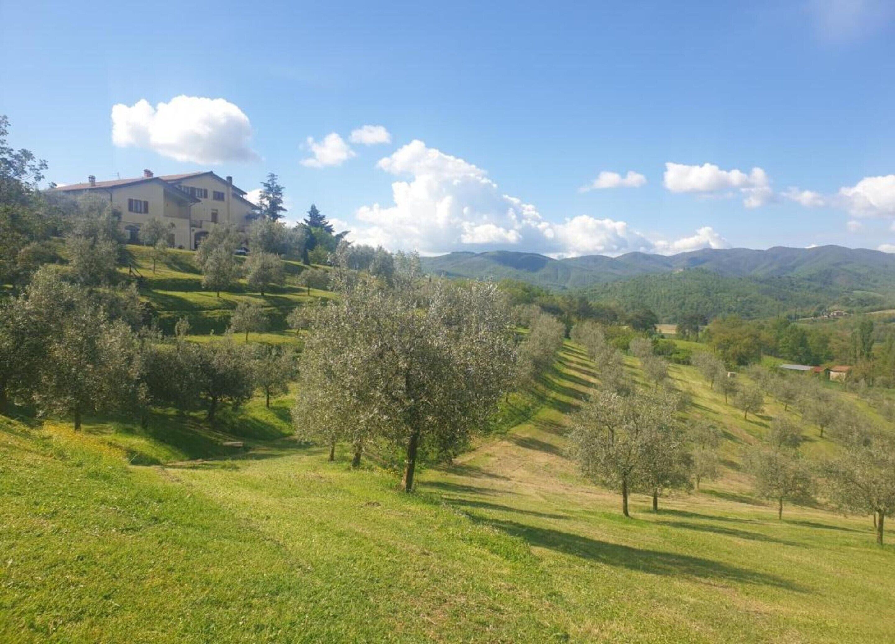 Rumah | Pemandangan dari properti