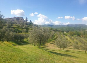 House | View from property - Getaway Amidst Vineyards (Montespertoli)