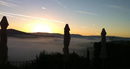 Getaway Amidst Vineyards