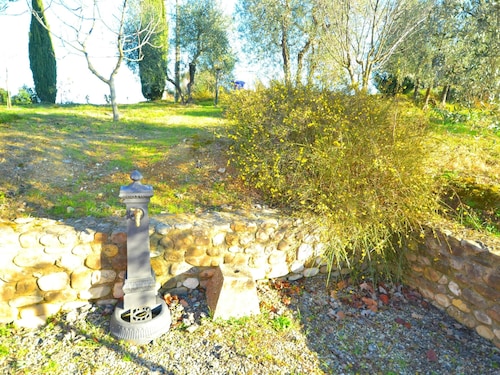 Getaway Amidst Vineyards