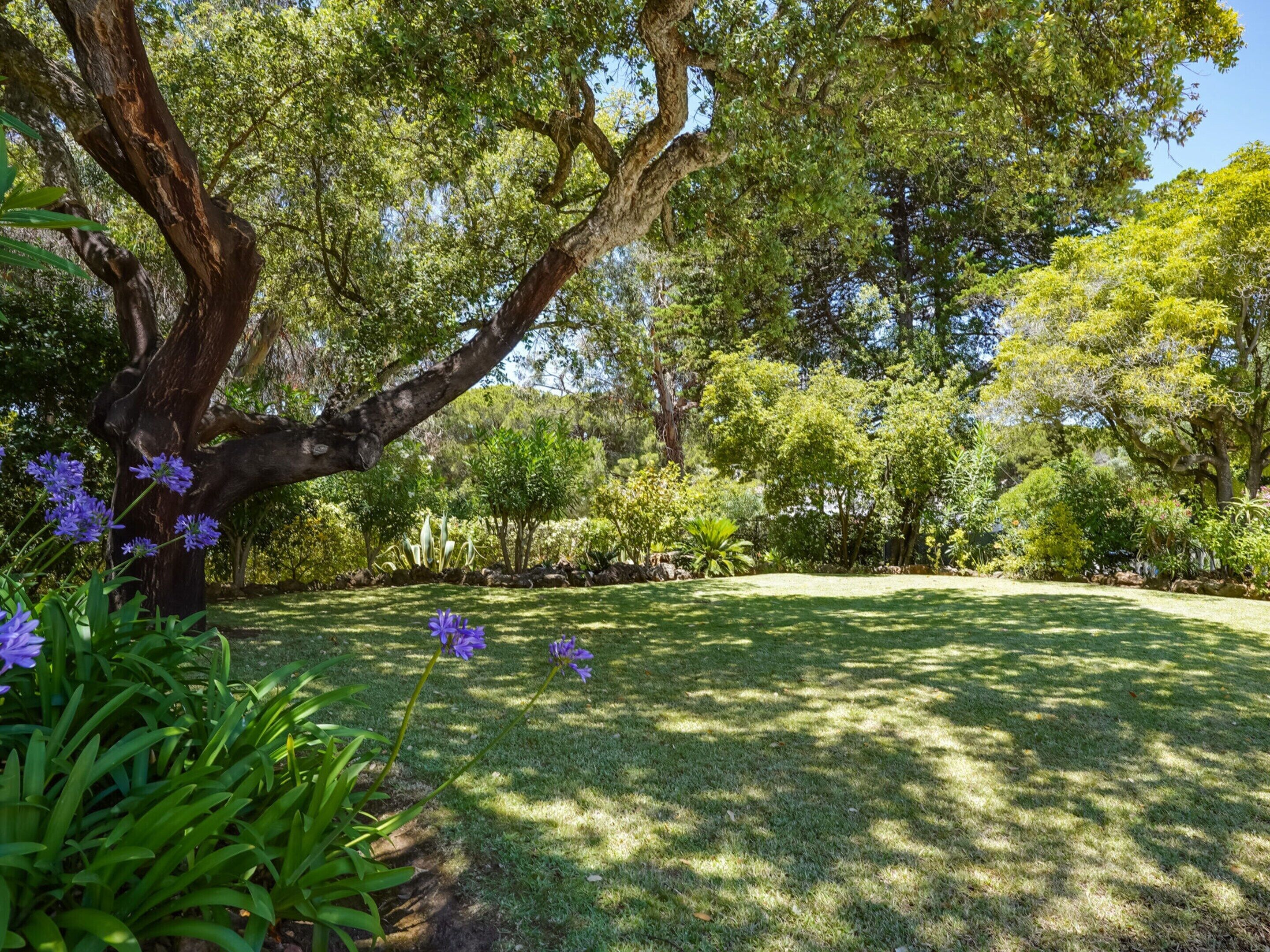 Photo - Villa Morocco with Heated Private Pool for 12 Guests in Albufeira