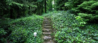 Forest Chalet in Lanklaar