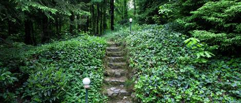 Stuga | Utsikt från boendet