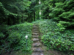 A stone pathway flanked by dense green foliage, leading into a forested area. - Forest Chalet in Lanklaar (Dilsen-Stokkem)