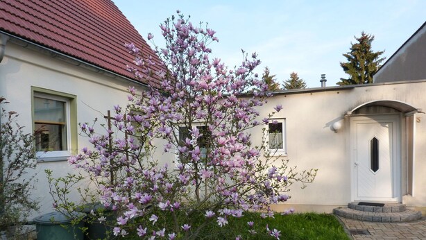 Exterior - A Studio for 2 - 3 People in the World Famous City of Dresden (Dresden)