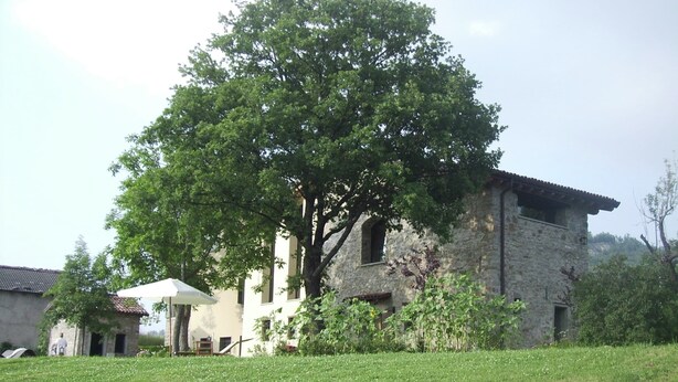 Ein Steinhaus mit einem großen Baum davor, umgeben von Gras und anderer Vegetation.