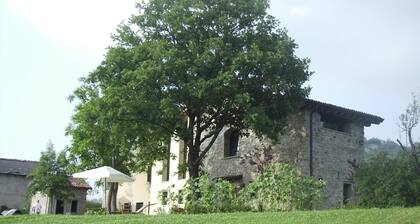 Holiday Home in Imola With Forest & Pool