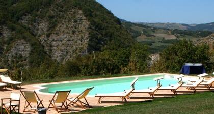 Holiday Home in Imola With Forest & Pool