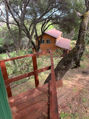 Property grounds - Log cabin house in historic Columbia (Columbia)