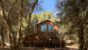 A wooden cabin with a porch, surrounded by trees.