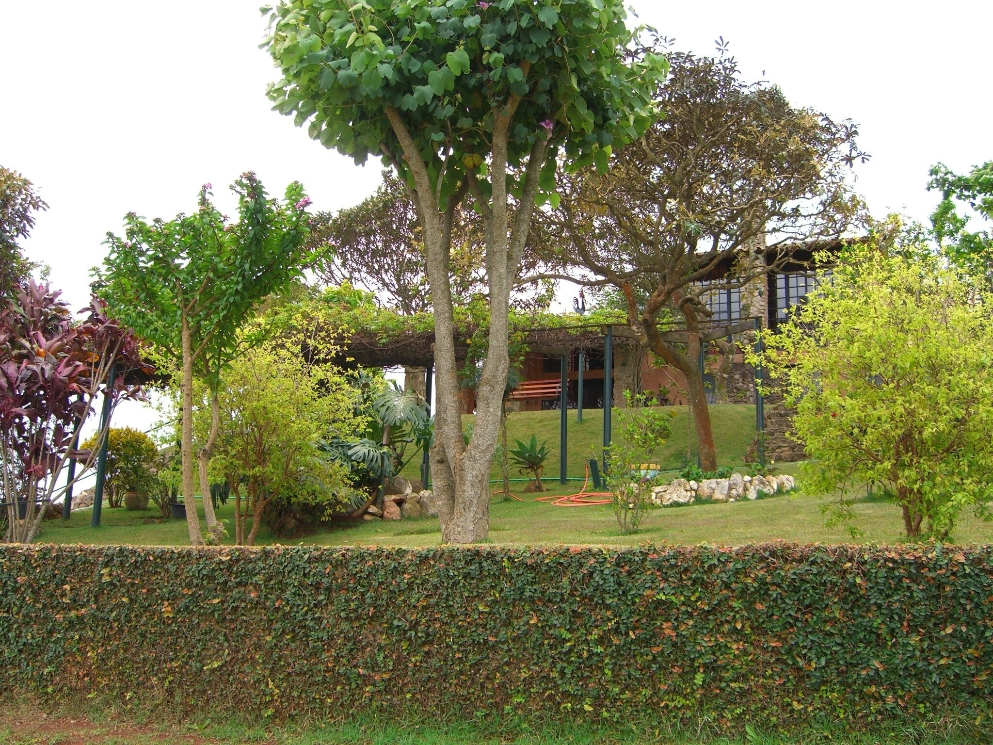 A landscaped garden with various trees and shrubs, a stone wall, and a building with a modern design in the background.