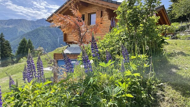 A wooden cabin with a sloped roof, surrounded by lush greenery and purple flowers. - Chalet Belle Roche | Recently renovated | Jacuzzi (Riddes)