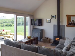 TV, fireplace - 3 bedroom accommodation in Abercych, near Cardigan (Abercych, near Cardigan)