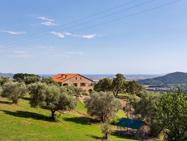 A stone building with a red roof surrounded by olive trees and a green-roofed structure. - Farmhouse in Suvereto With Sea Views (Suvereto)