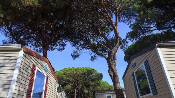 Exterior - Tidy Chalet in Pine Forest near Adriatic Sea (Cesenatico)