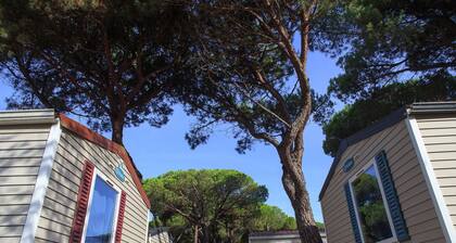 Tidy Chalet in Pine Forest near Adriatic Sea