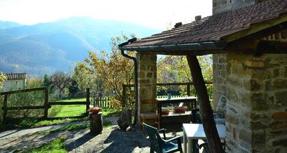 Bright Holiday Home in San Marcello with Pool near Meadows