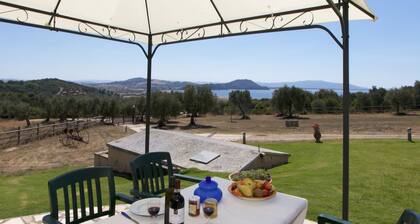 Modern Holiday Home in Orbetello With Private Terrace