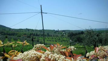 Apartment | Pemandangan dari hartanah