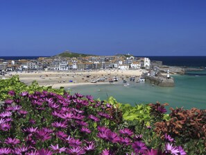 Exterior - Spacious Apartment in Saint Ives near Beach (St Ives)