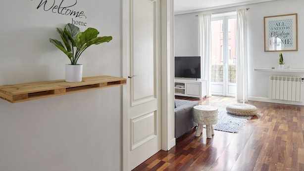 A modern living room with a wooden floor, a grey sofa, a television, and a potted plant on a shelf. - Always Easy I Escolta Real (San Sebastián/Donostia)