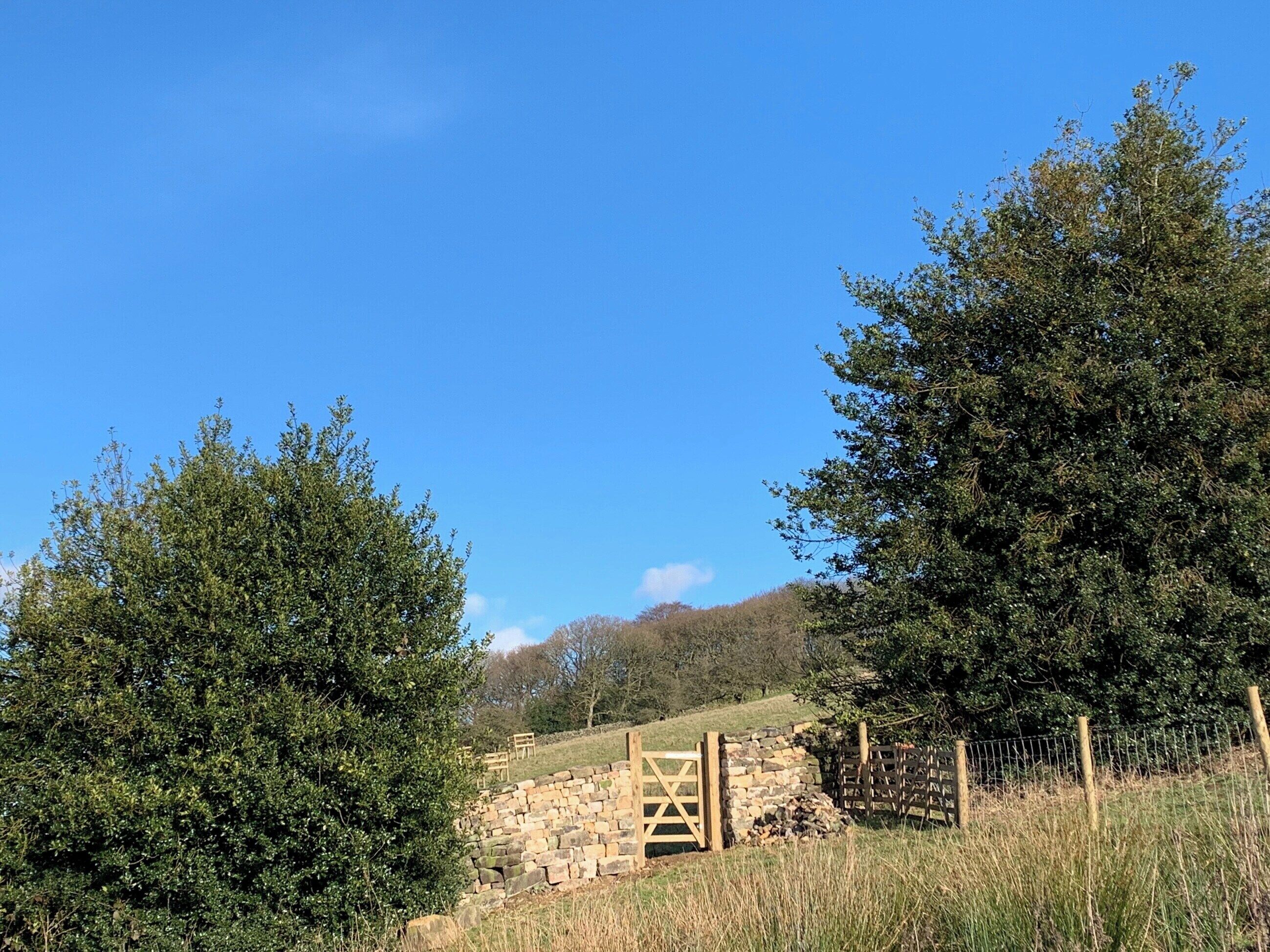 Ländliche Landschaft mit Steinmauer, Holztor und Bäumen.