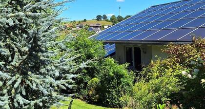 Cozy Holiday Home in Willersdorf With Pond