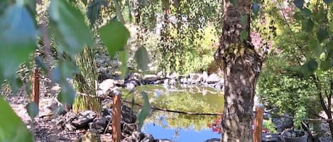 Ferienhaus | Außenbereich