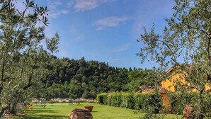 Un jardin avec un grand pot en terre cuite, un bâtiment jaune et, au fond, une colline boisée.