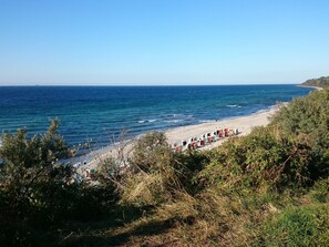 A beach with a row of blue and red beach chairs along the shore, surrounded by greenery.