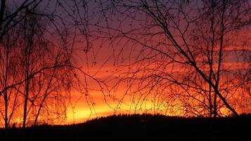 Nhà | Ngoại thất