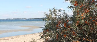 Gemuetliches Ferienhaus in Zierow mit Sauna